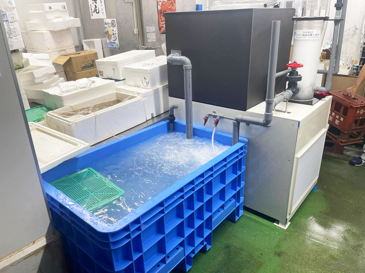 鮮度に挑戦するため新・水槽を導入しました!
