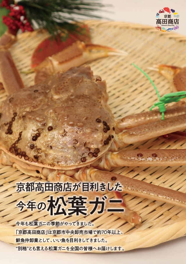 京都高田商店が目利きした今年の松葉ガニ